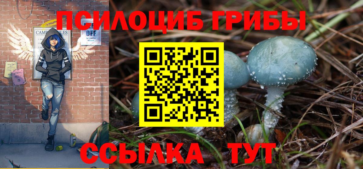 Галлюциногенные грибы MAGIC MUSHROOMS Шебекино