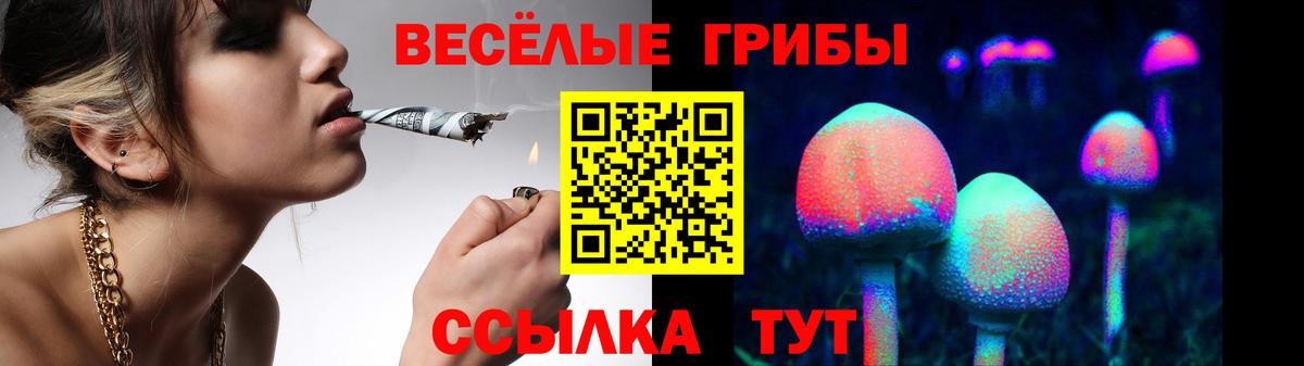 Псилоцибиновые грибы мухоморы  Вход с VPN  Псилоцибиновые грибы ЛСД  Шебекино 